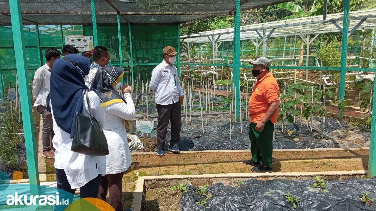 Dorong Produksi Pangan Sehat, DKP3 Bontang Usulkan Sertifikasi Prima-3 Kelompok Tani