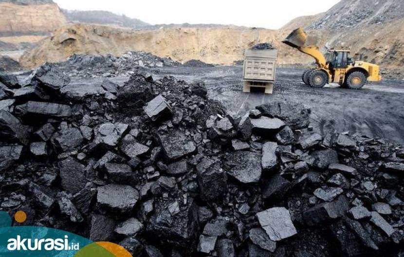 Kaltim Setorkan PAD Rp500 Triliun ke Pusat, Namun Urus Setrum Listrik Saja Tidak Beres?